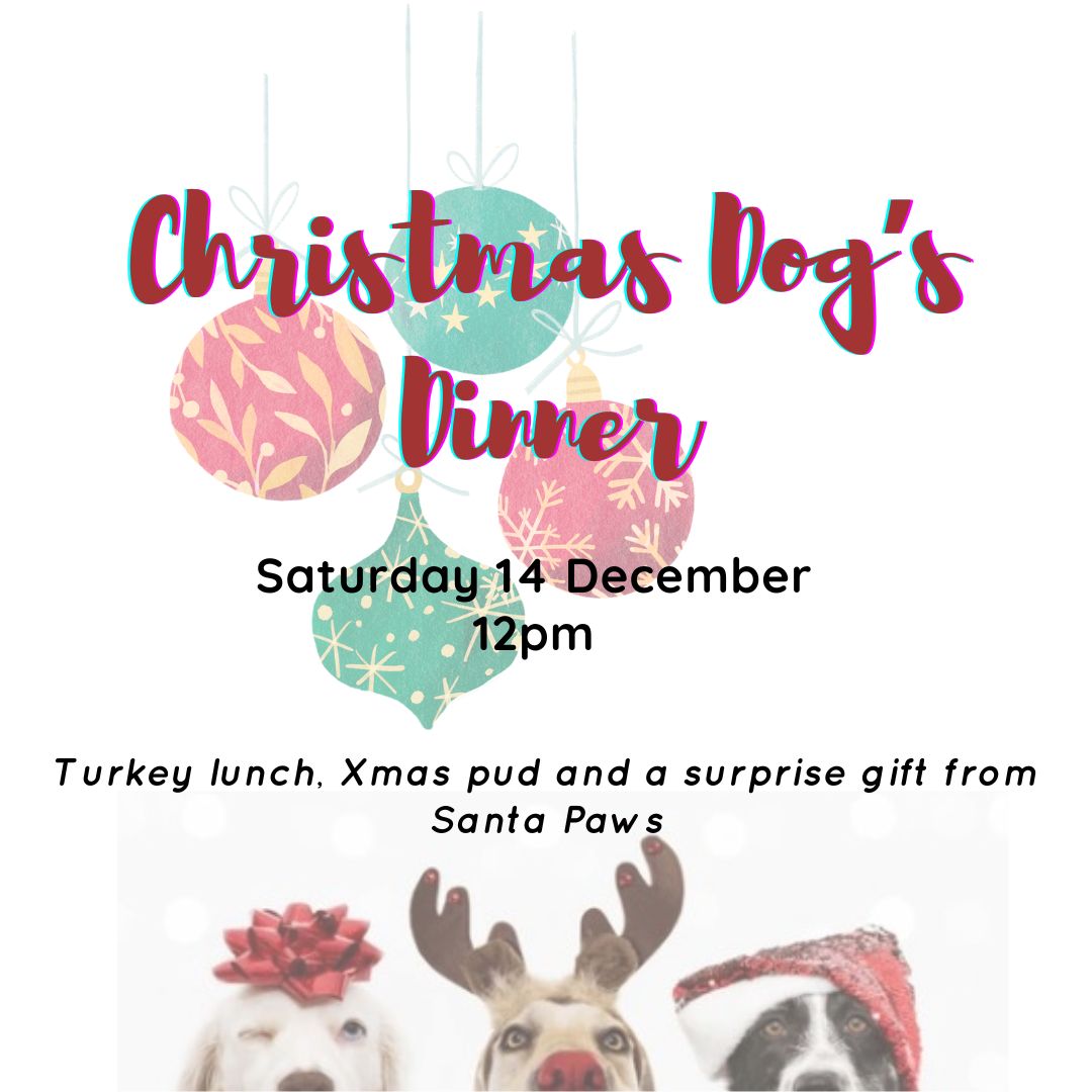 Christmas Dog's Dinner Ticket