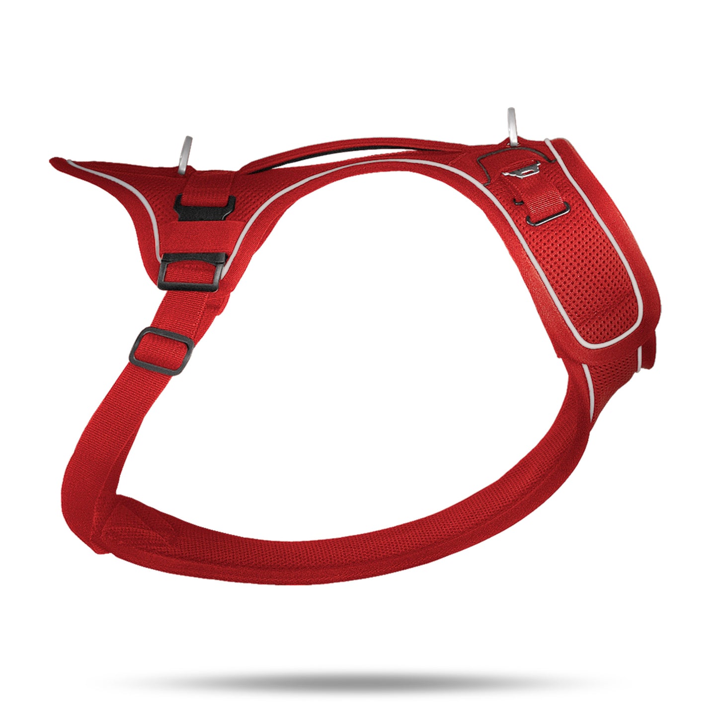 Curli - Belka Harness