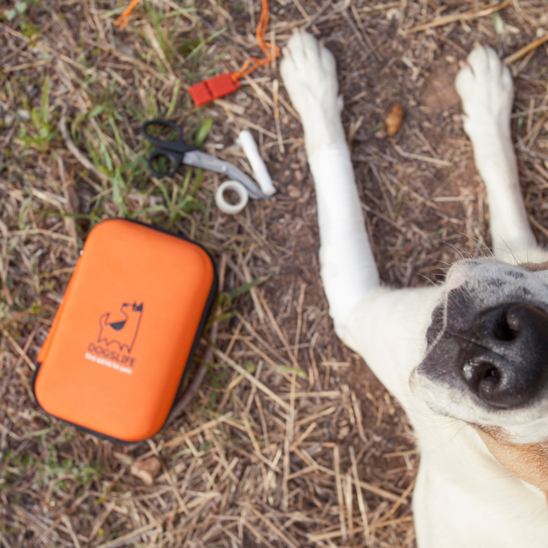 Dog First Aid Kit