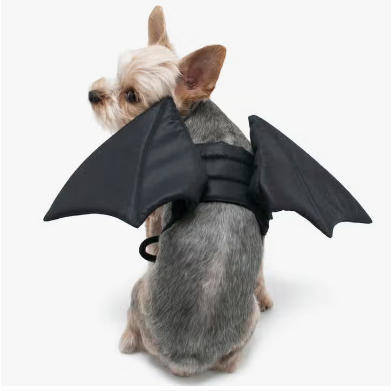 Dogo Pet - Bat Wings