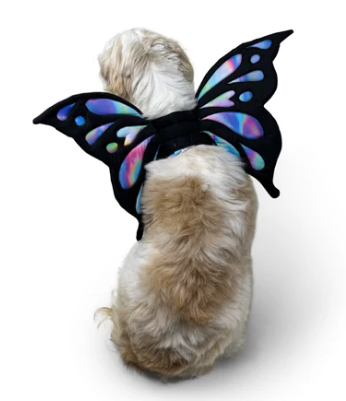 Dogo Pet - Butterfly Wings