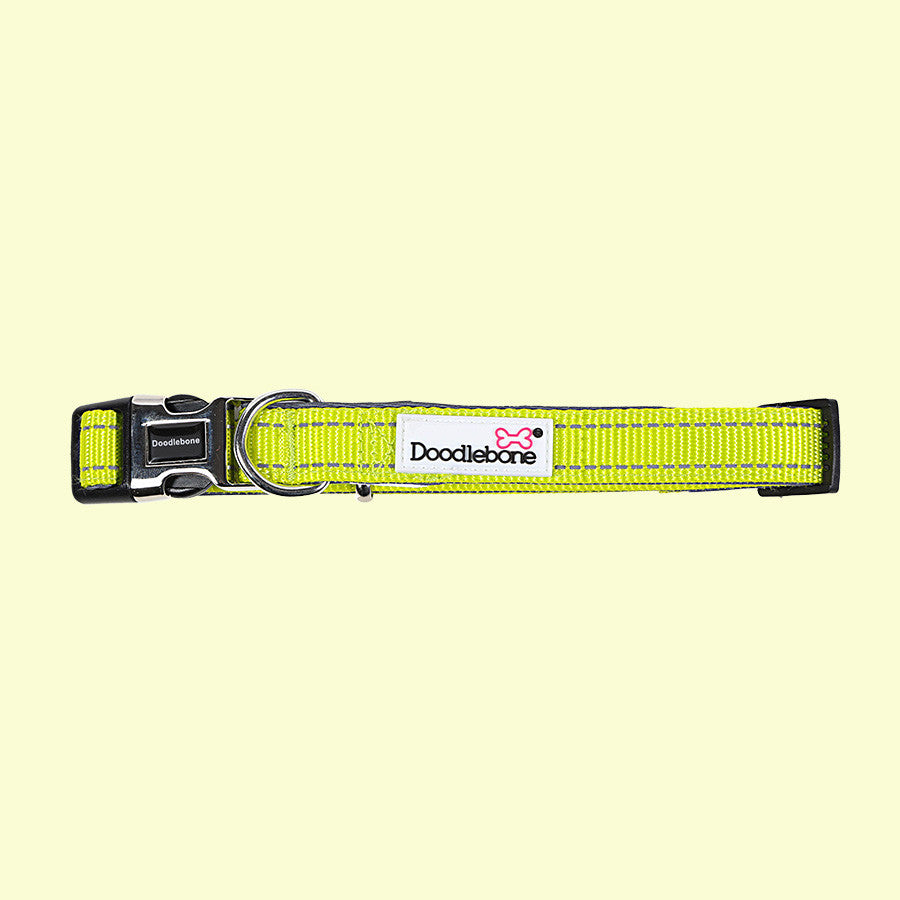 Doodlebone Padded Collar