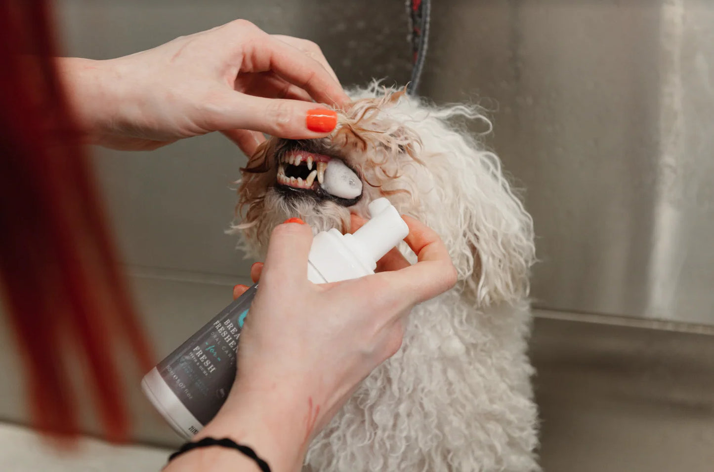 For All DogKind Breath Freshener