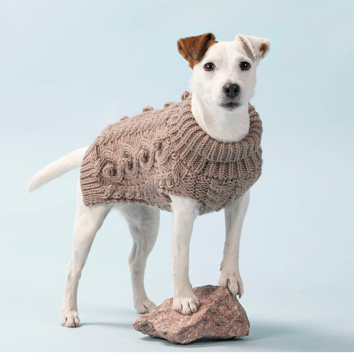 Paikka Handmade Knit Sweater for Dogs