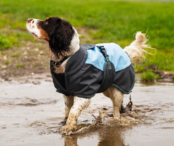 Henry Wag Dog Waterproof Coat