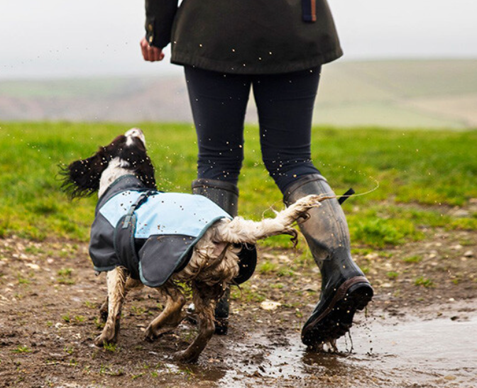 Dog coat 2025 and boots