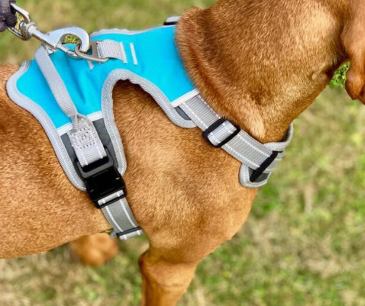 Henry Wag - Travel Harness for dog
