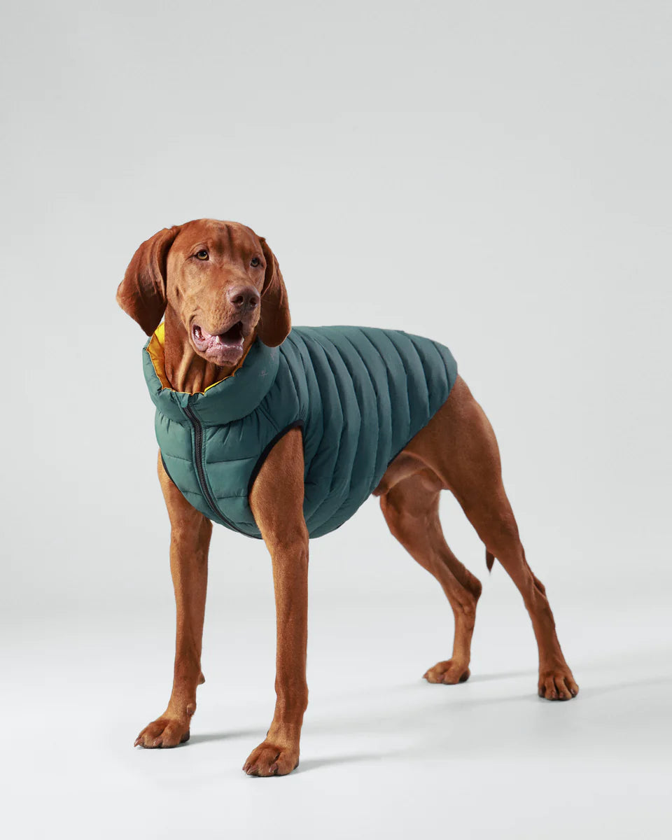 Hugo & Hudson Reversible Puffer Jacket Yellow and Green