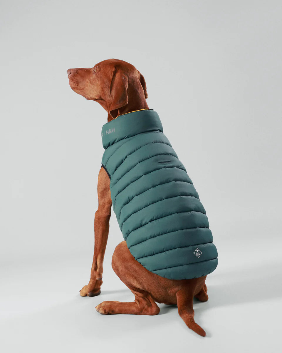 Hugo & Hudson Reversible Puffer Jacket Yellow and Green