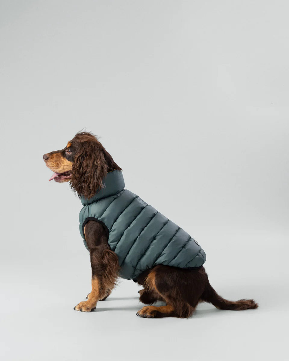 Hugo & Hudson Reversible Puffer Jacket Yellow and Green
