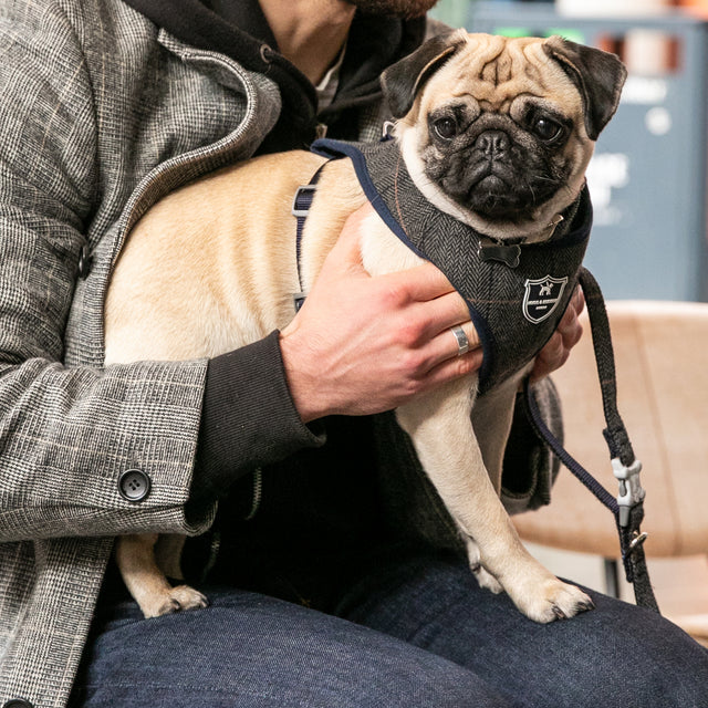 Hugo & Hudson grey checked tweed harness