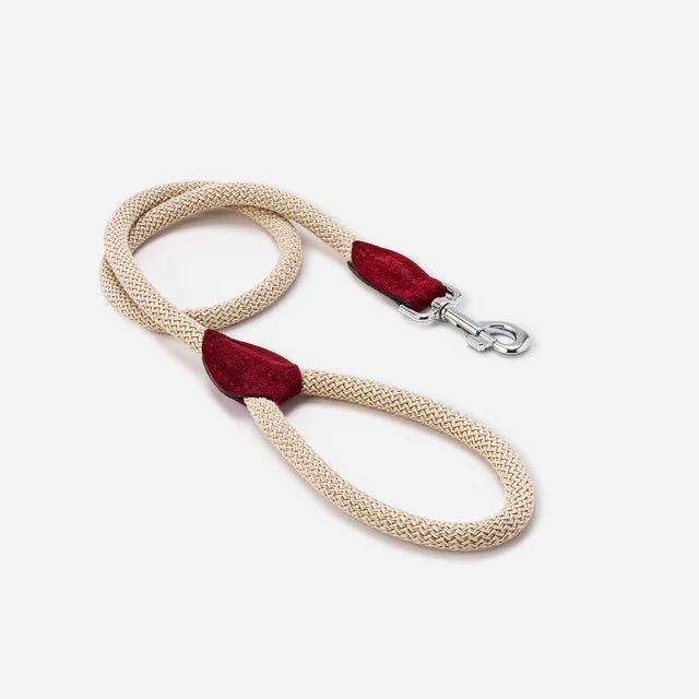 Hugo & Hudson rope and leather dog lead