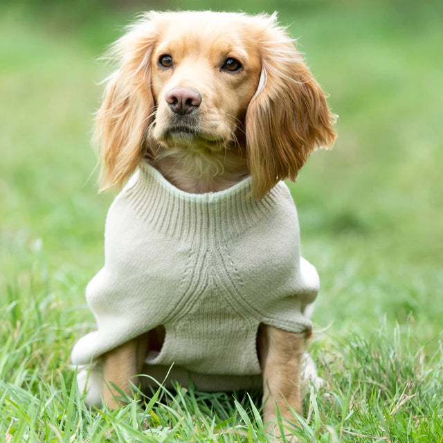 Hugo & Hudson knitted jumper beige