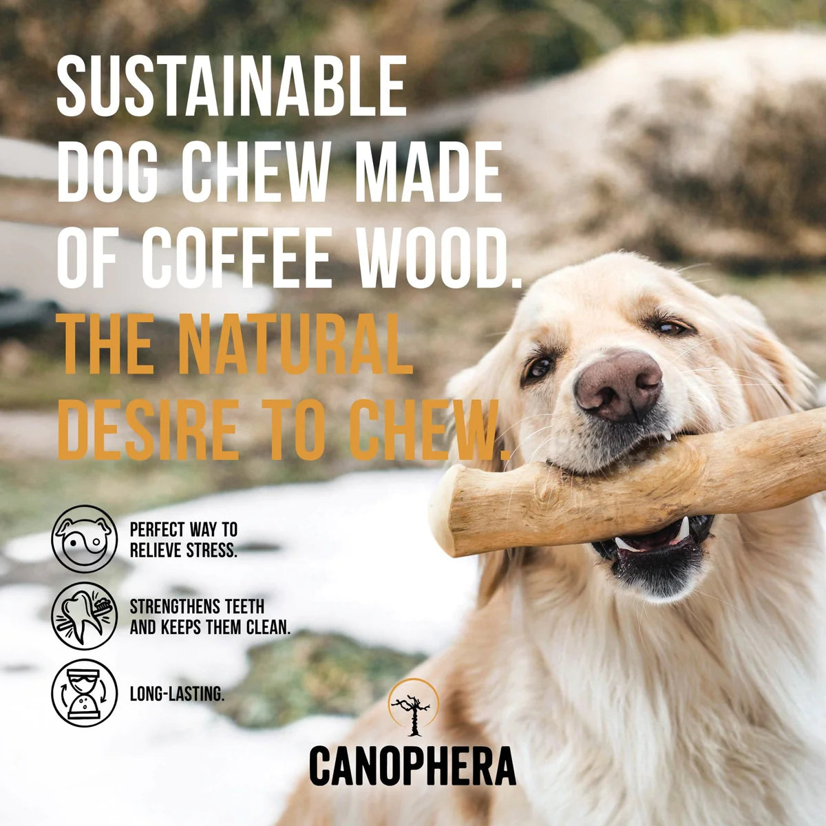 Canophera Coffee Wood Stick