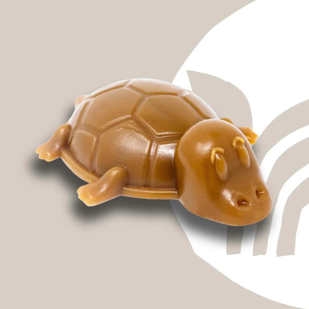 Natural Cornish Pet vegetable & peanut butter turtle