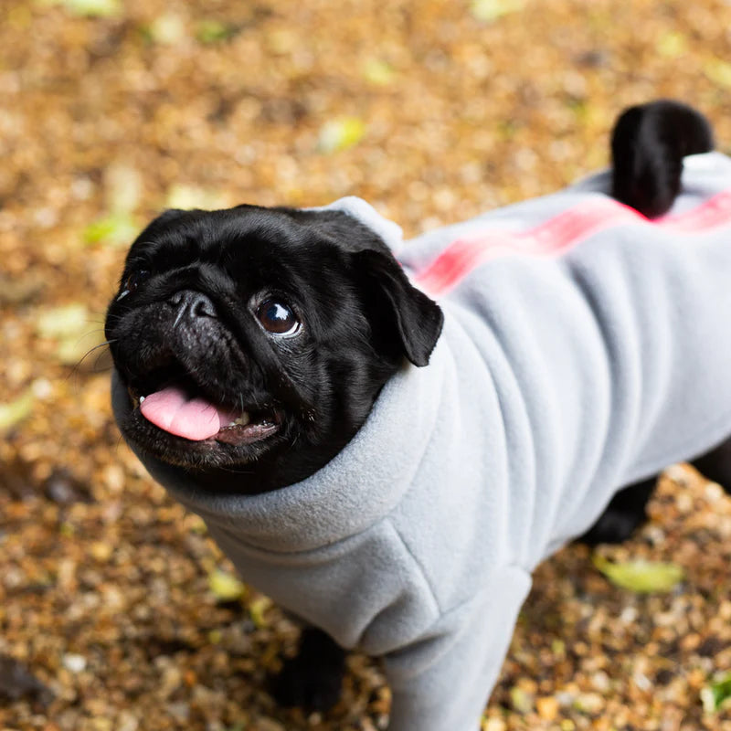 Stix Dogs Coats - Pug