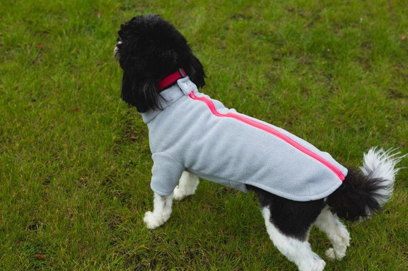 Stix Dogs Coats - Cavapoo