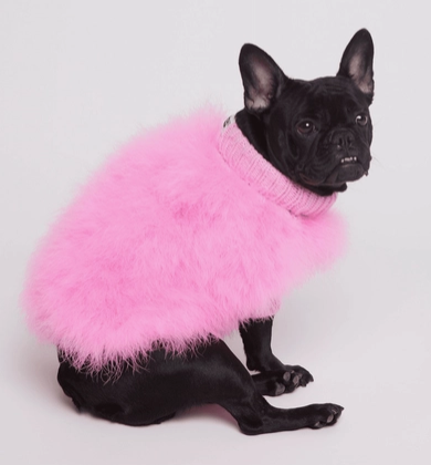 Maxbone Christian Cowan Fluffy Feather Jumper for Dogs