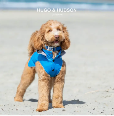 Hugo & Hudson Mesh Collar - Royal Blue