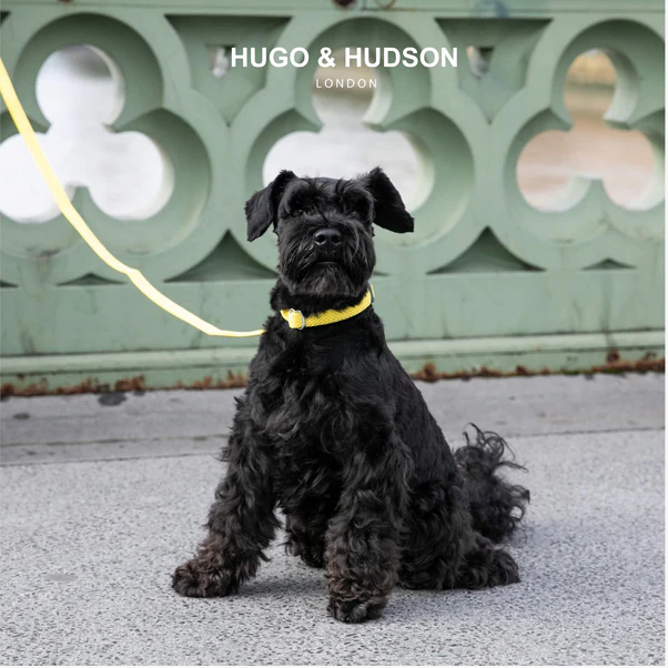 Hugo & Hudson Mesh Collar - Yellow