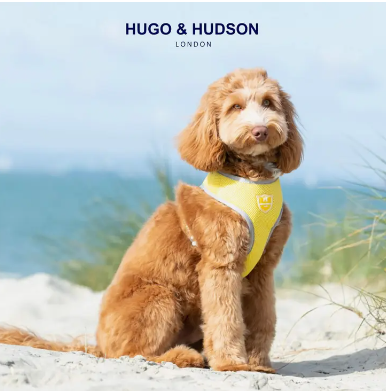 Hugo & Hudson Mesh Dog Harness - Yellow