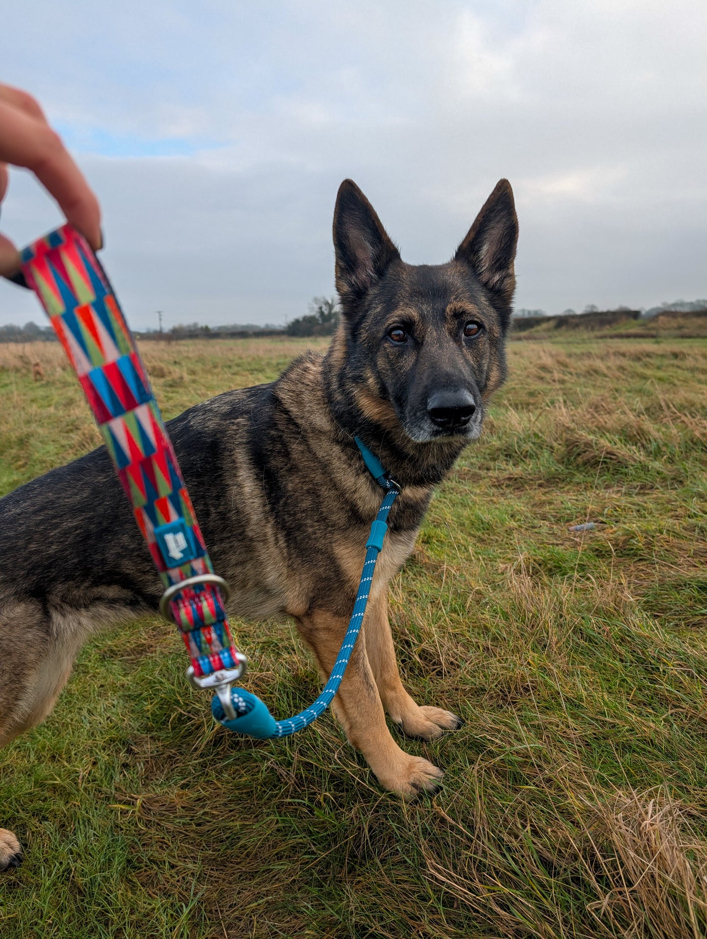 Twiggy Tags Horizon Slip Lead