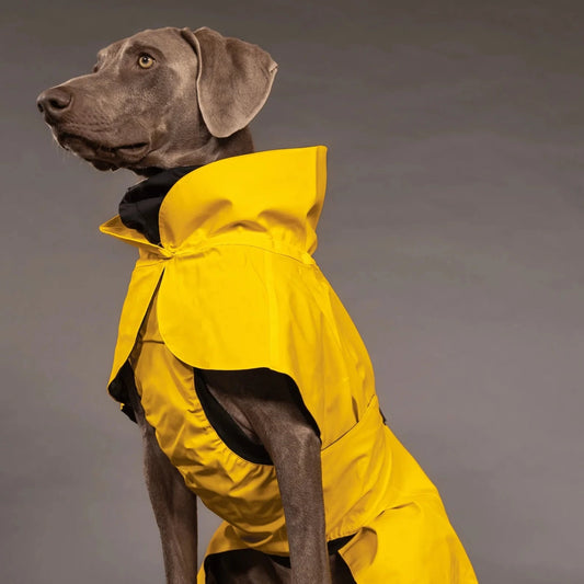 Paikka Visibility Dog Raincoat Lite