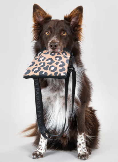 Paikka Visibilty Dog Treat Pouch