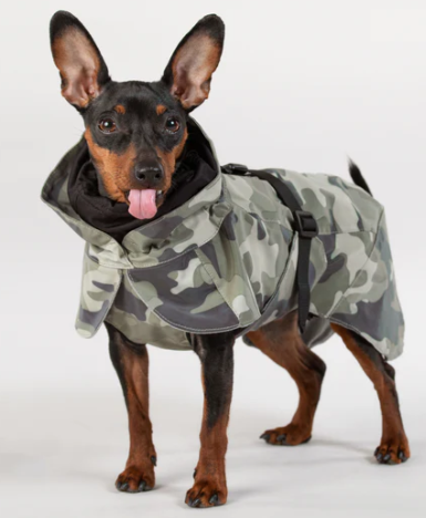 Paikka Recovery Raincoat for Dogs