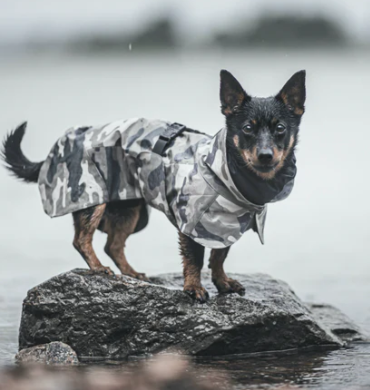 Paikka Recovery Raincoat for Dogs