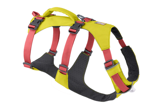 Ruffwear Flagline Dog Harness