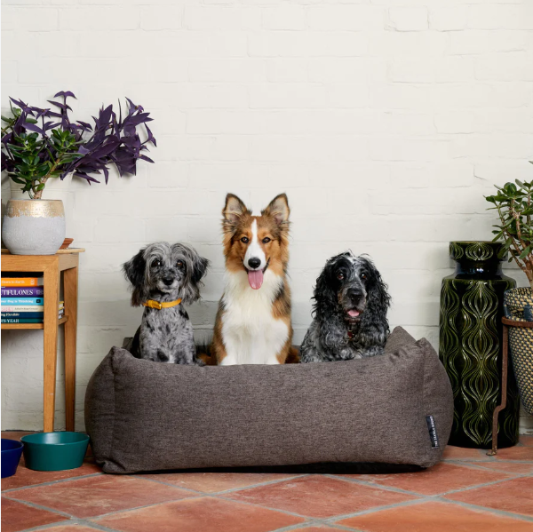 Stately Hound - Dog Bed