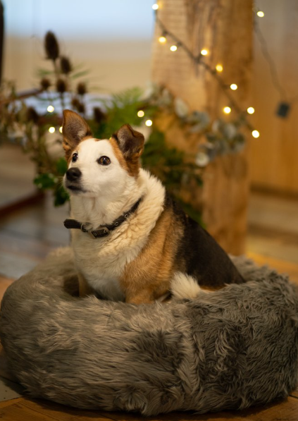 Petface Luxury Faux Fur Donut Bed