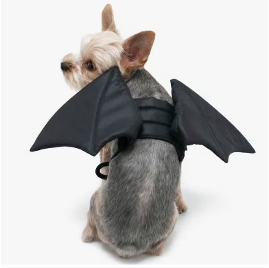 DOGO New York - Bat Wings