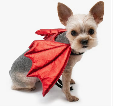 Dogo Pet - Dragon Wings