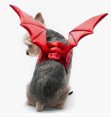 Dogo Pet - Dragon Wings