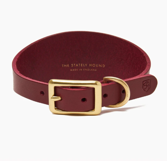 Stately Hound - Brass Riveted Leather Sighthound Collar