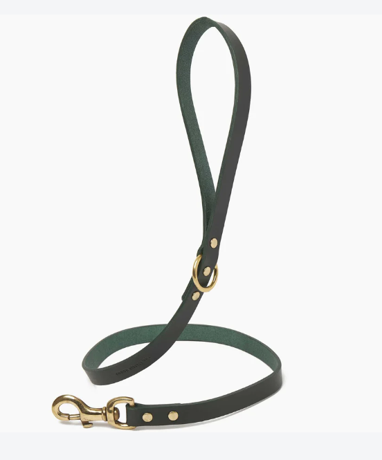 Stately Hound - Brass Riveted Leather Dog Lead