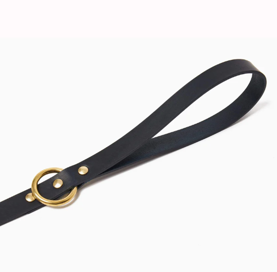 Stately Hound - Brass Riveted Leather Dog Lead