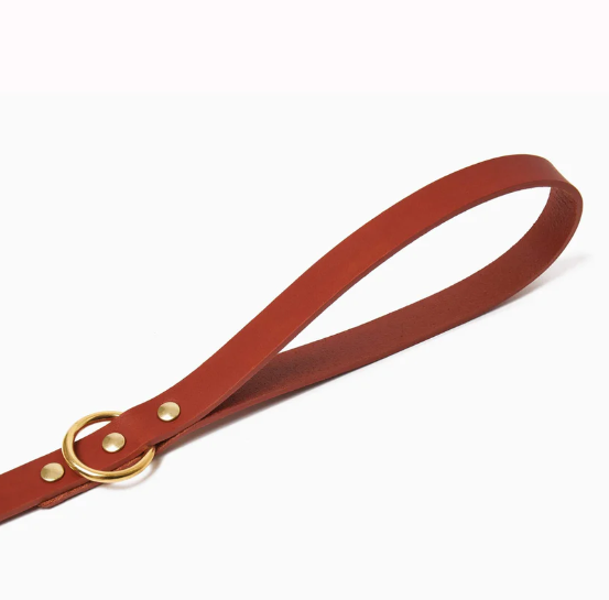 Stately Hound - Brass Riveted Leather Dog Lead