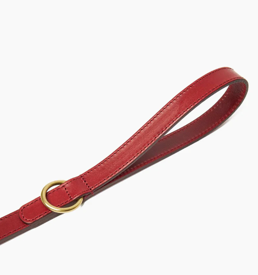 Stately Hound - Hand-Stitched Premium Leather Dog Lead with Brass Hardware