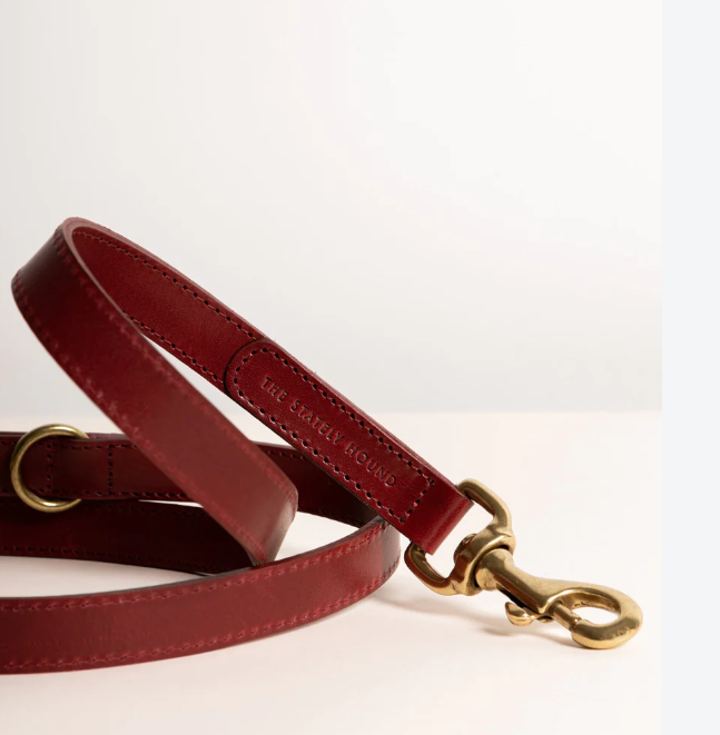 Stately Hound - Hand-Stitched Premium Leather Dog Lead with Brass Hardware