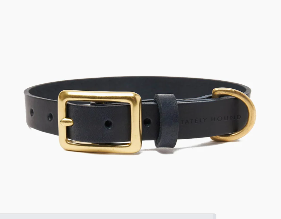 Stately Hound - Brass Riveted Leather Dog Collar