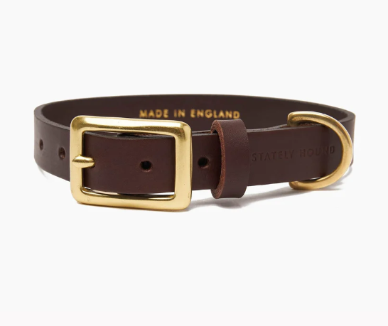 Stately Hound - Brass Riveted Leather Dog Collar