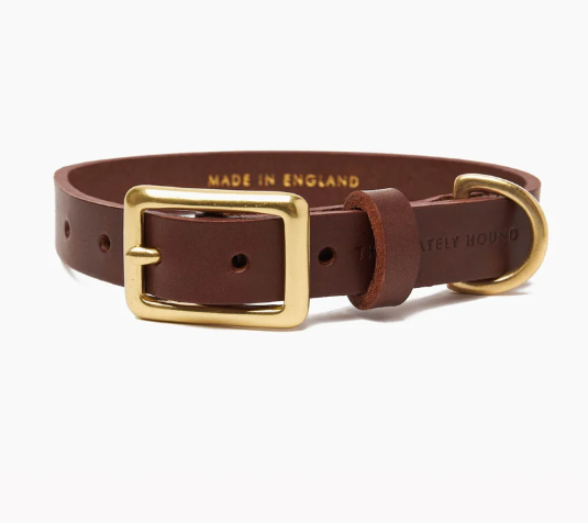 Stately Hound - Brass Riveted Leather Dog Collar