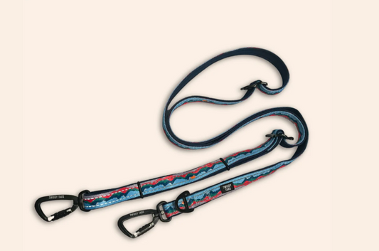 Twiggy Tags Trailfinder Multi-Way Lead