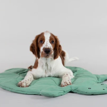 Paikka Enrichment Playmat for Dogs