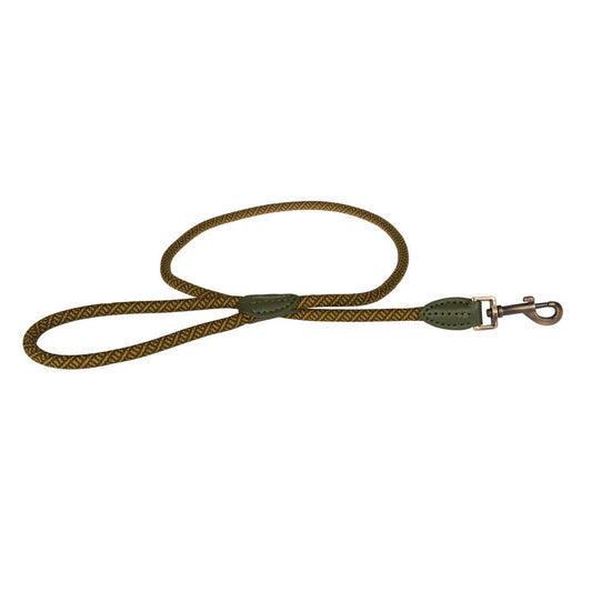 Green dog leash with a metal clip on a white background