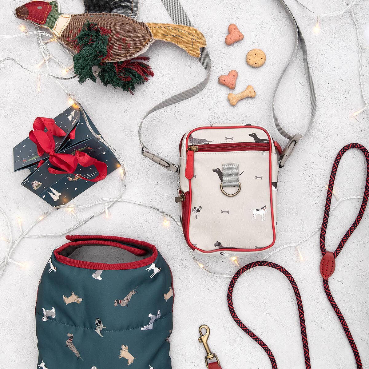 Dog accessories including a red and white bag, green coat, and red leash on a light background.