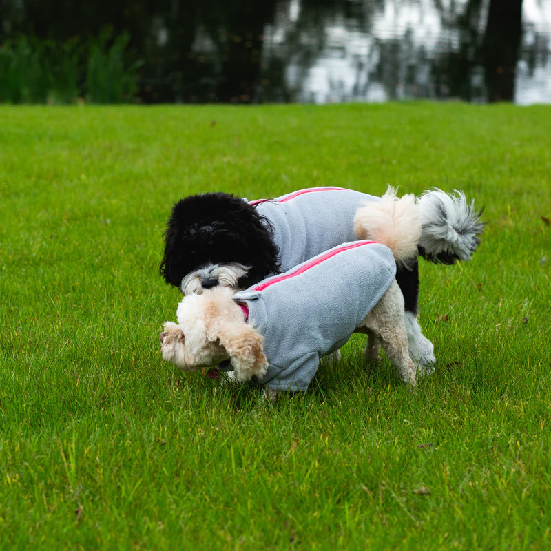 Stix Dogs Coats - Cavapoo